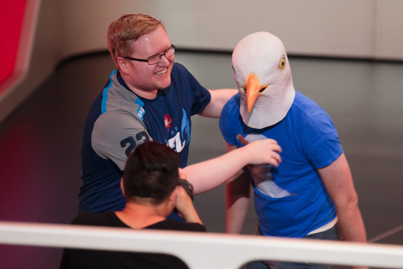 seagull assistant 2018